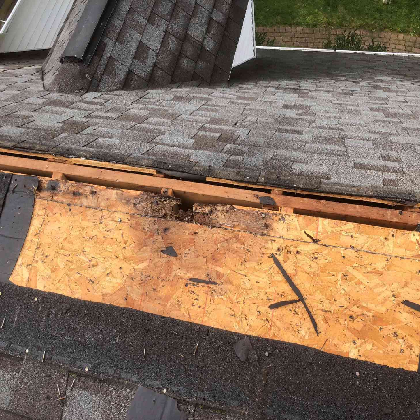 Storm damaged roof shingles in Maple Grove